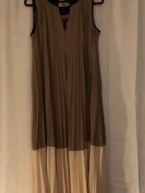 BCBGMaxAzria Brown and Cream Pleated Maxi Dress